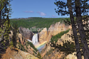 Yellowstone Lower Falls image